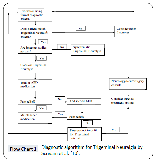 Branches Of Trigeminal Nerve Flow Chart
